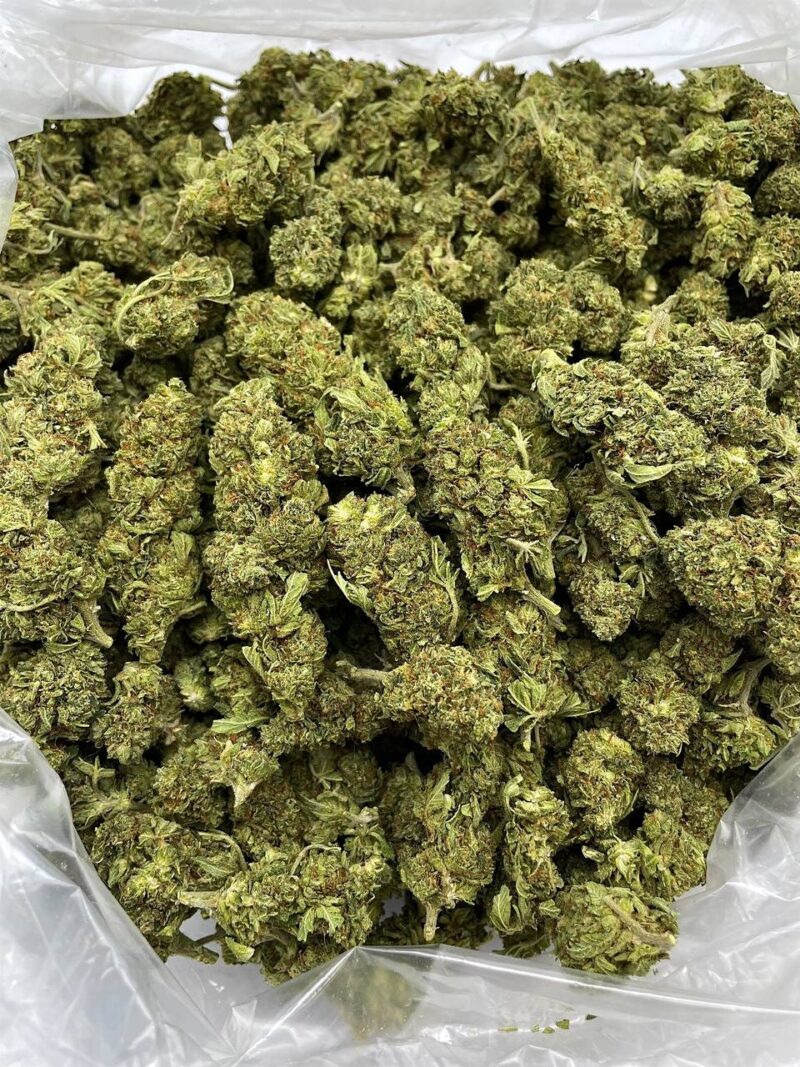 Buy Purple Tang Online at Ganja Deals