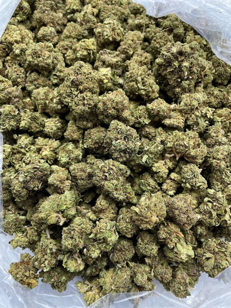 Buy Frosty Haze Online at Ganja Deals