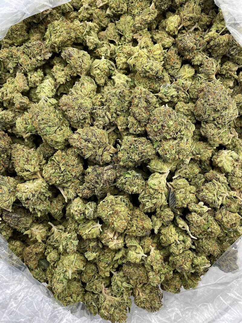 Buy Citrus Thunderfuck Online at Ganja Deals