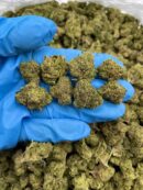 Magic Gas - Flower > Flower - Mids | Ganja Deals