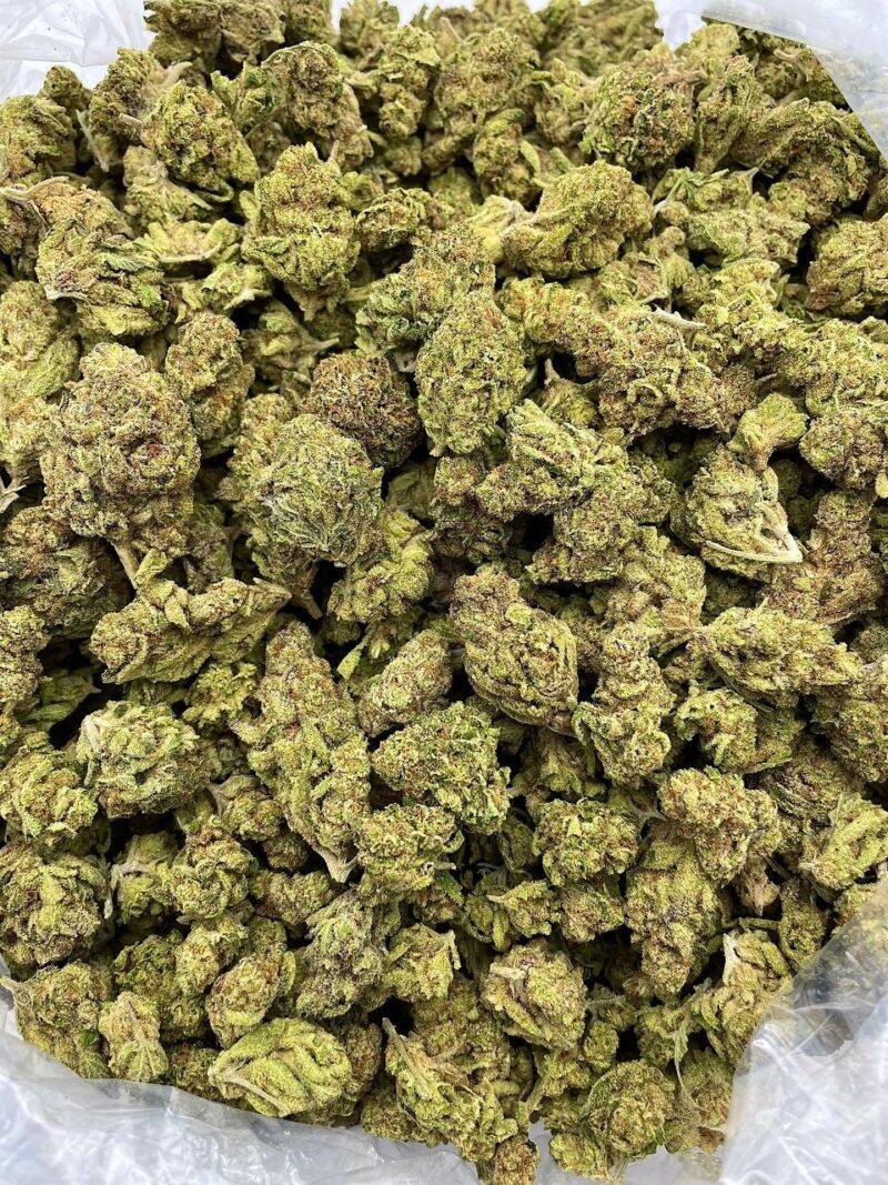 Buy Cherry Eclipse Online at Ganja Deals