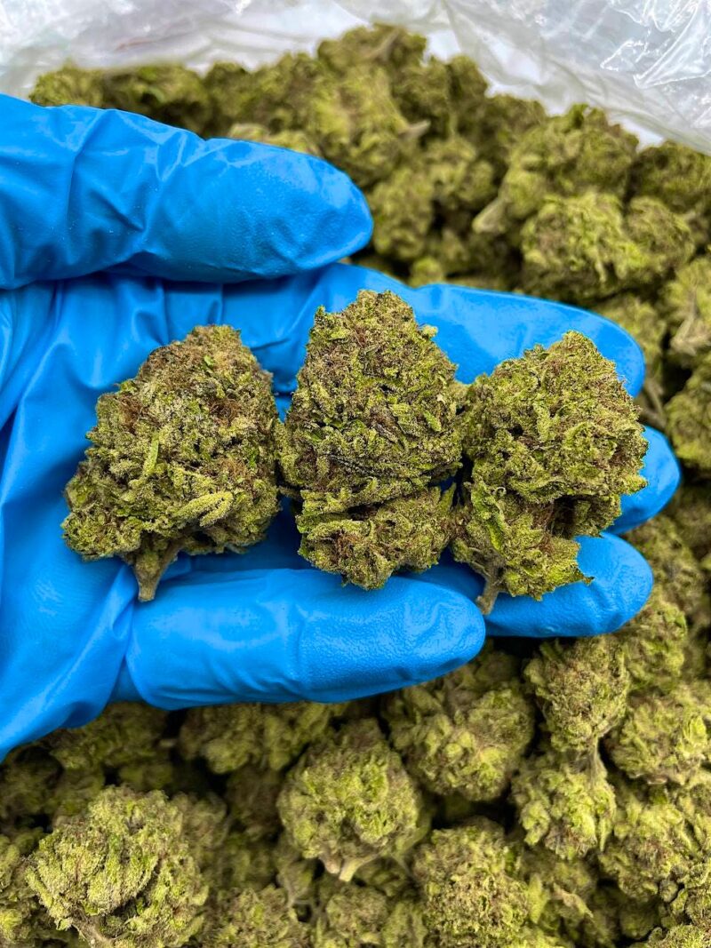 Frosty Rocks - Flower > Flower - Mids | Ganja Deals