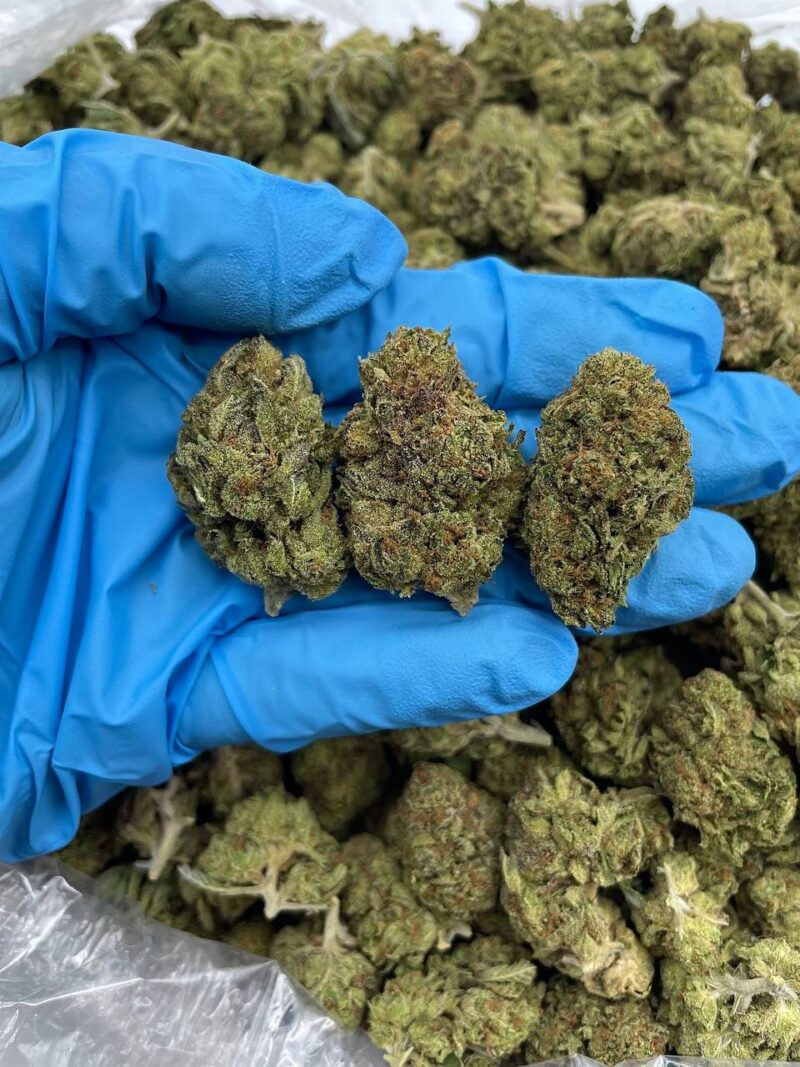 Lights Out - Flower > Flower - Mids | Ganja Deals