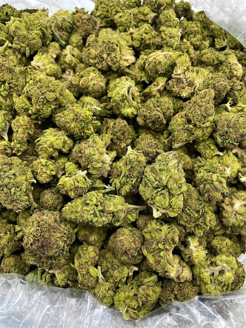 Buy Lights Out Online at Ganja Deals