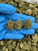 Double Citrus Twist - Flower > Flower - Mids | Ganja Deals