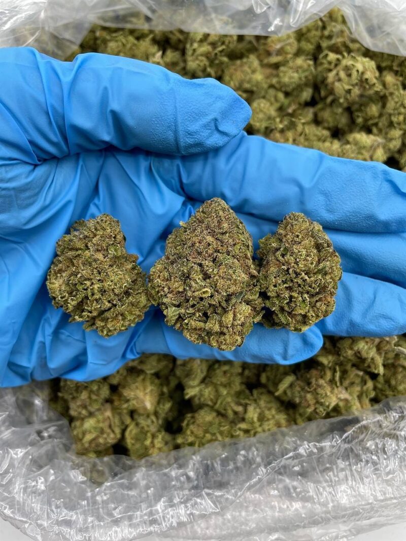 Brownie Brittle - Flower > Flower - Mids | Ganja Deals