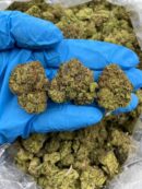 Citrus Berry Haze - Flower > Flower - Mids | Ganja Deals