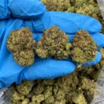 Citrus Berry Haze