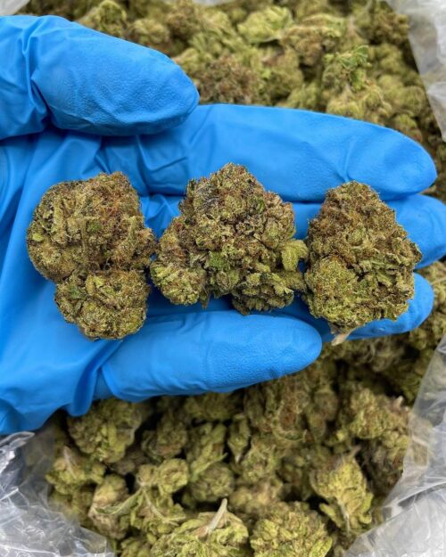 Citrus Berry Haze - Flower > Flower - Mids | Ganja Deals