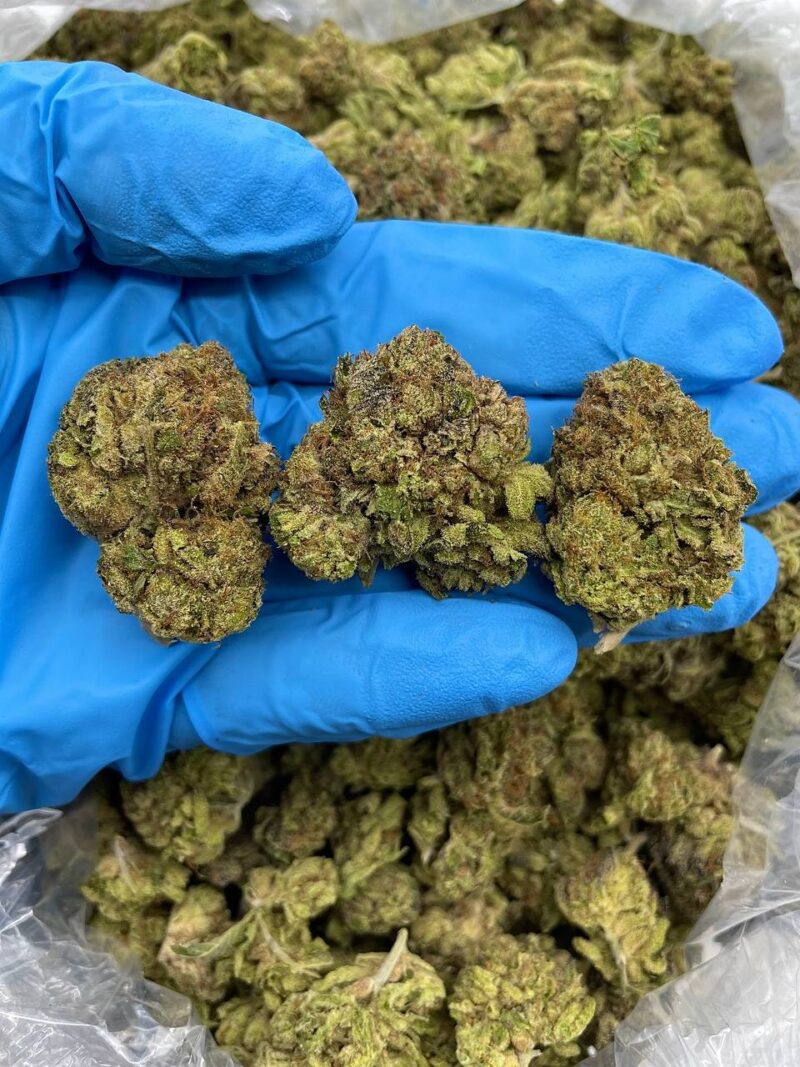 Citrus Berry Haze - Flower > Flower - Mids | Ganja Deals