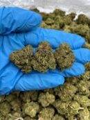 Star Killer - Flower > Flower - Mids | Ganja Deals