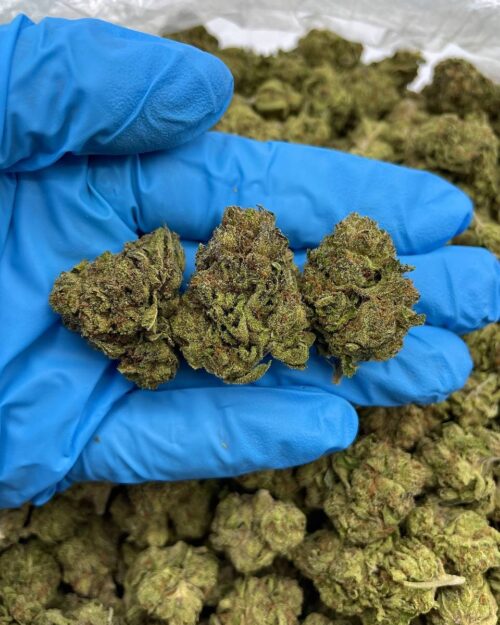 Star Killer - Flower > Flower - Mids | Ganja Deals