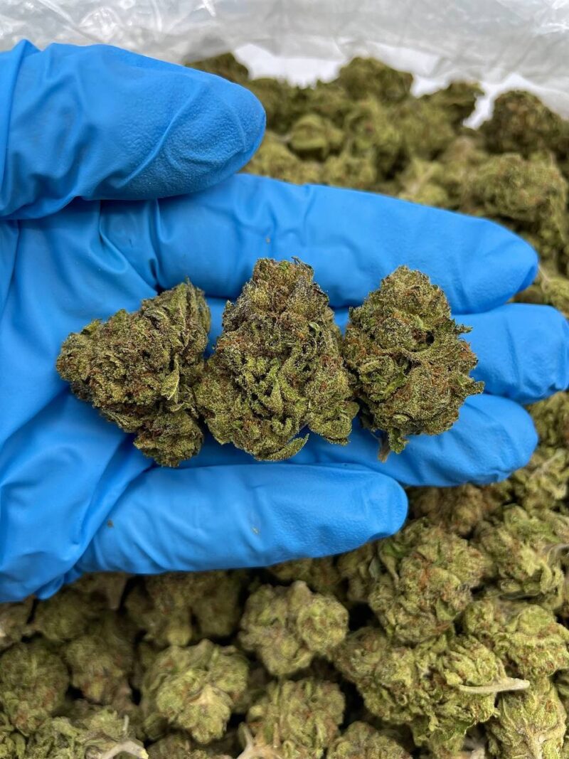 Star Killer - Flower > Flower - Mids | Ganja Deals