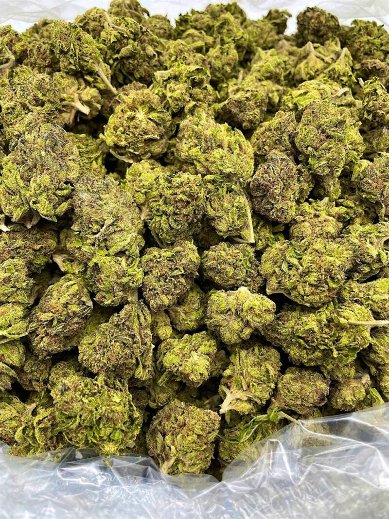Buy Star Killer Online at Ganja Deals