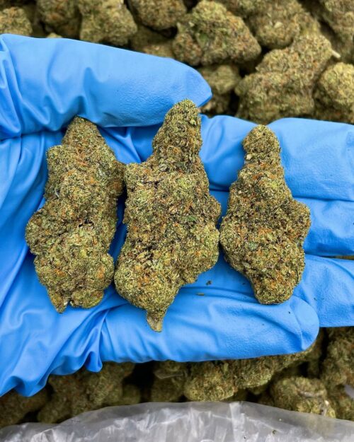 Tangerine Dream