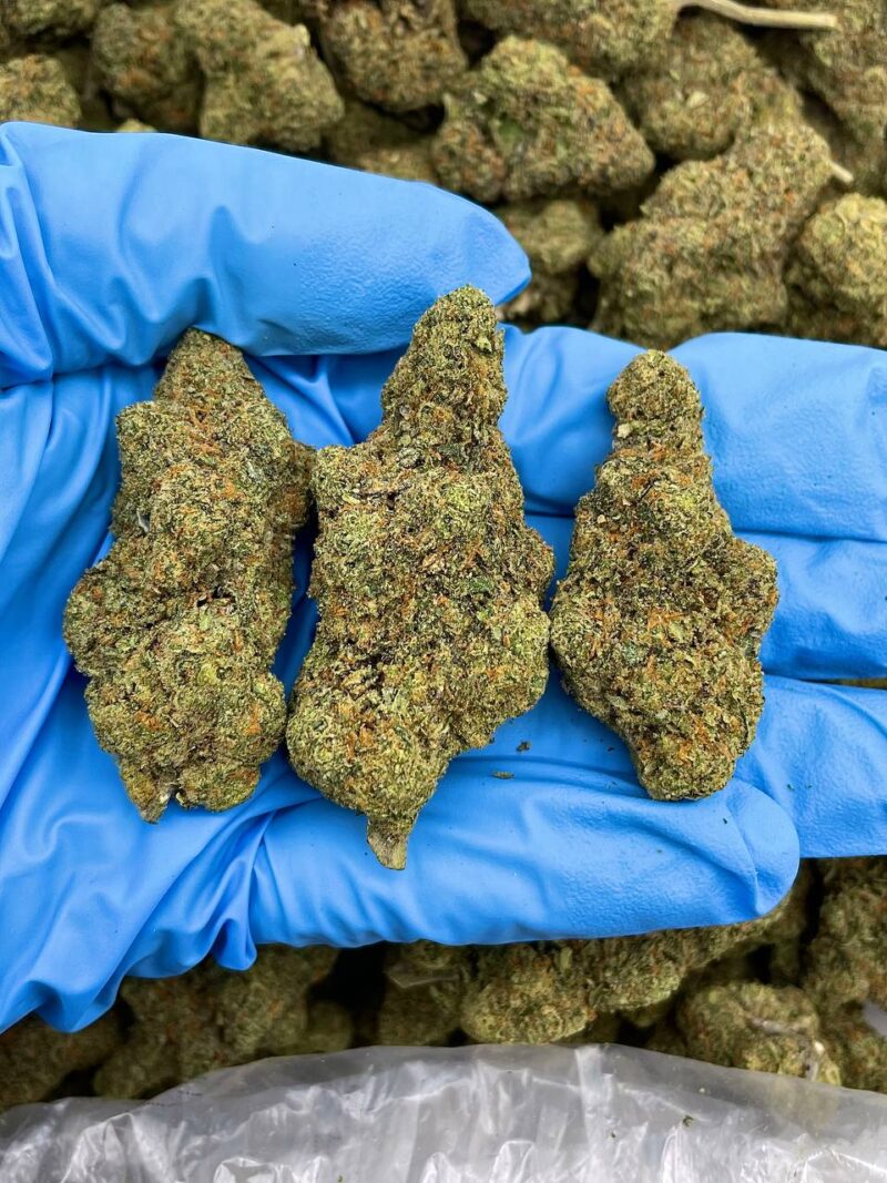 Tangerine Dream