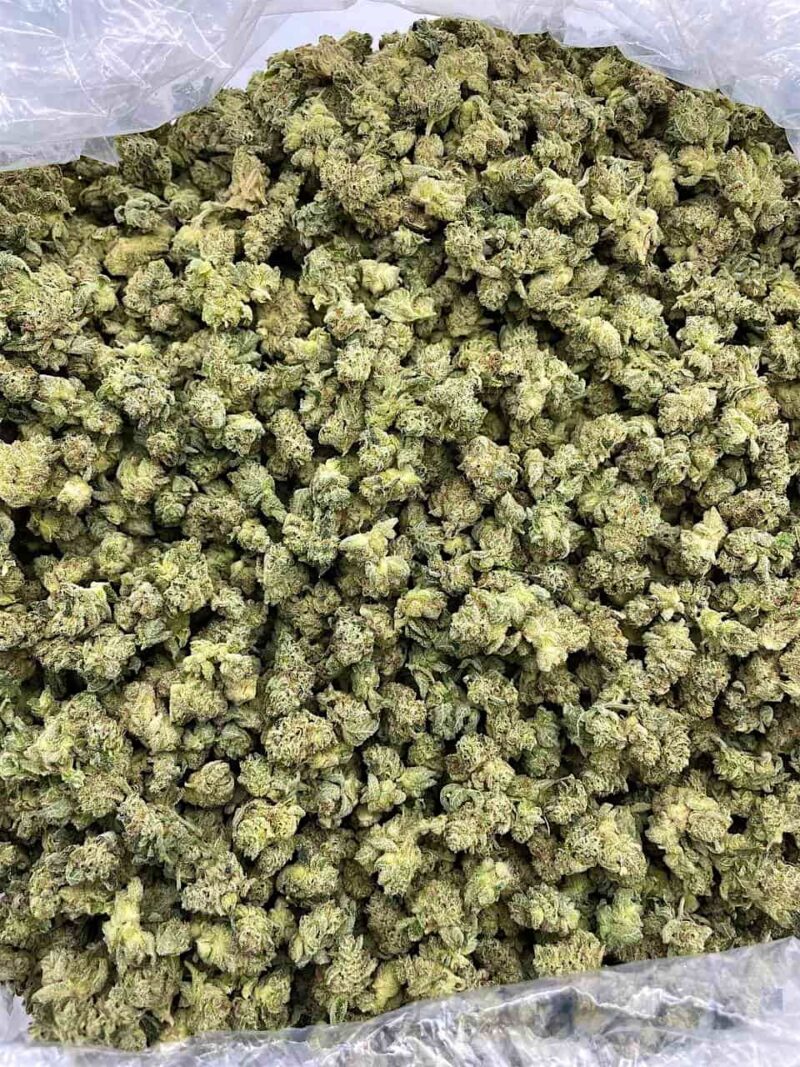 Buy Gorilla Glue Online at Ganja Deals