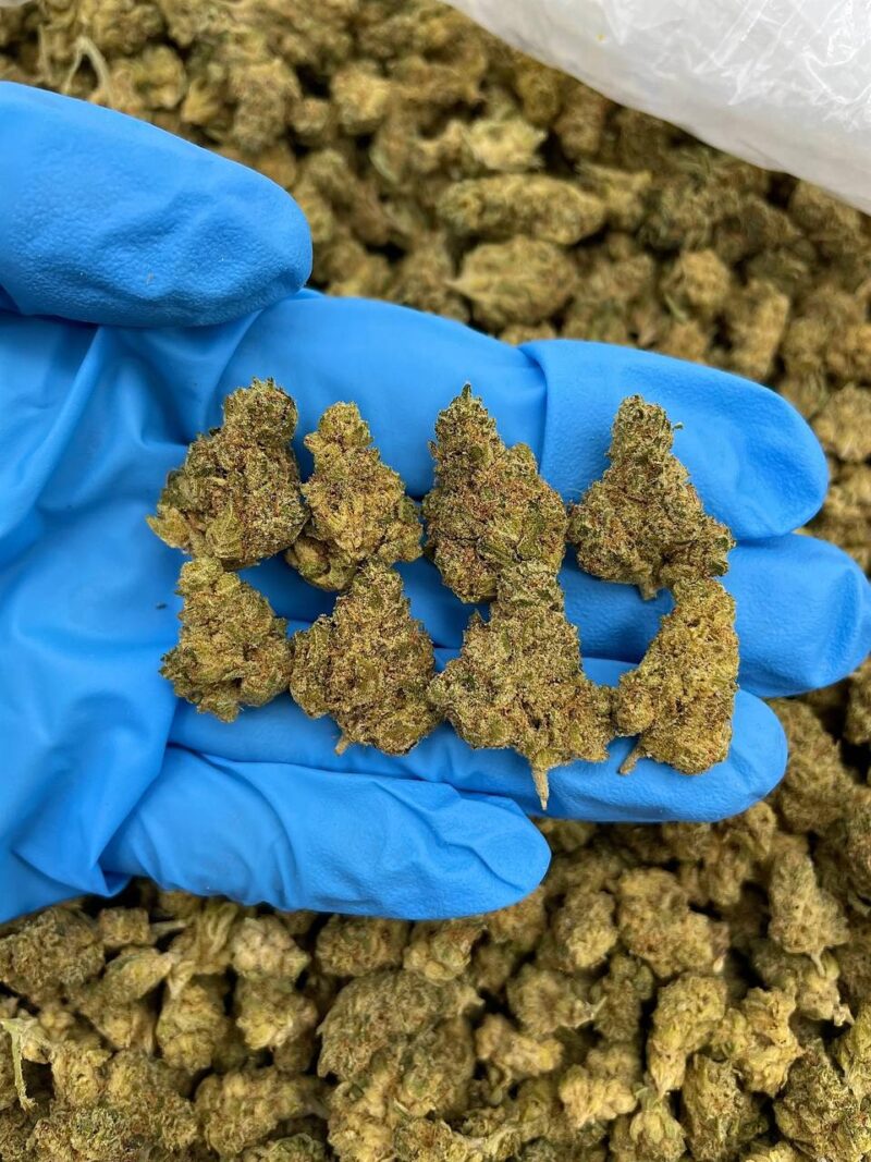 Inferno Haze - Flower > Flower - Mids | Ganja Deals