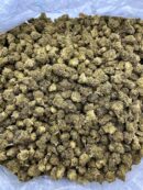 Buy Marshmellow Runtz Online at Ganja Deals