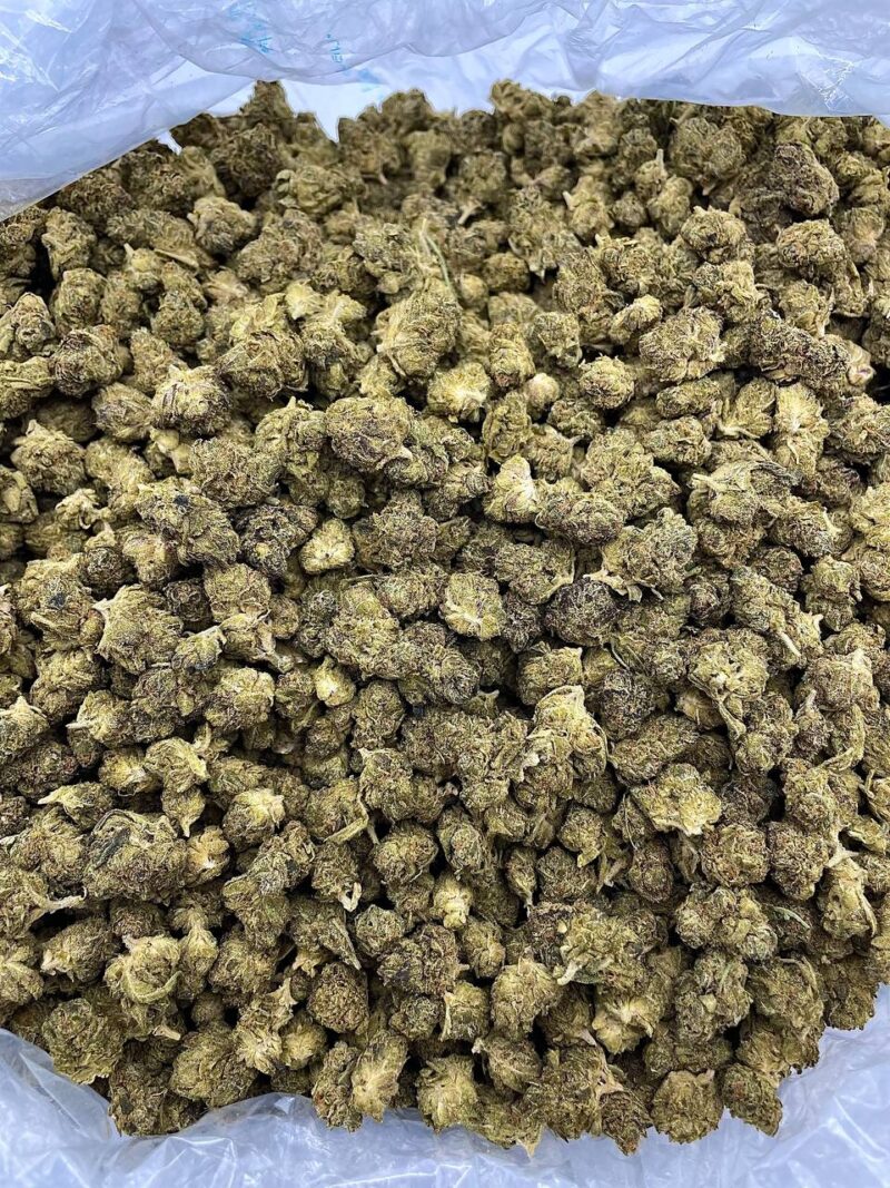 Buy Marshmellow Runtz Online at Ganja Deals