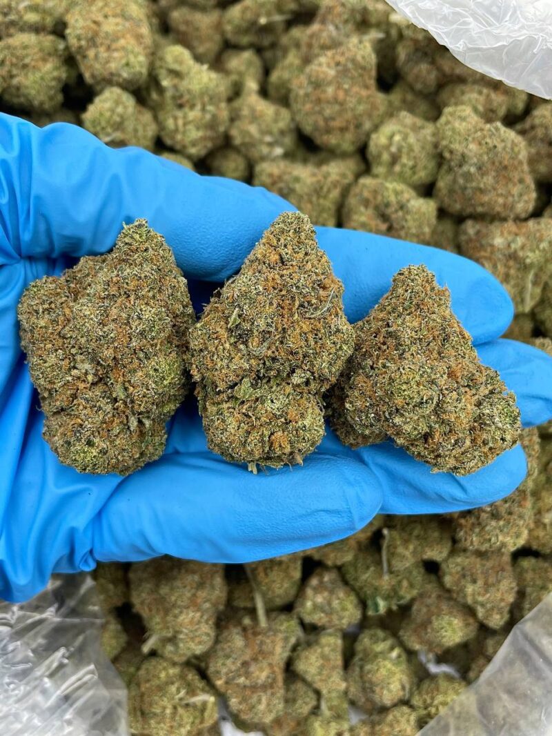 Ape Candy