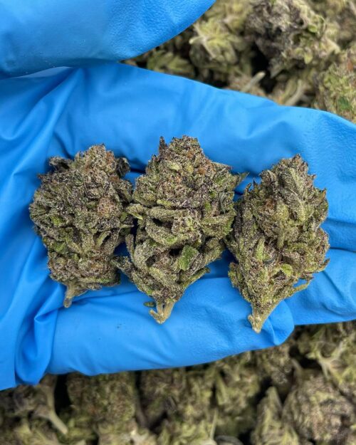 banana purpz