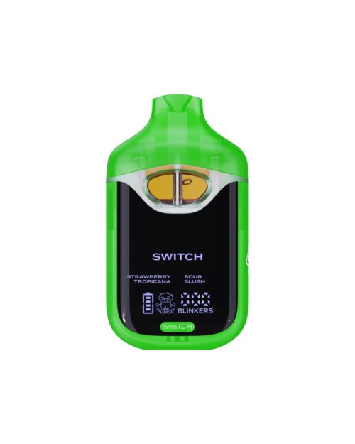 boutiq switch v4 disposable 2g