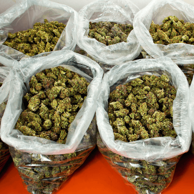 bulk lows weed deal