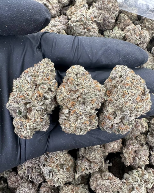 Dragon Fuel