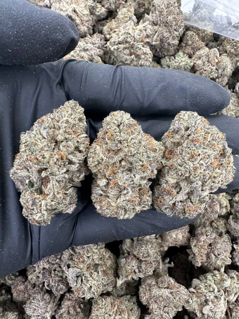 Dragon Fuel