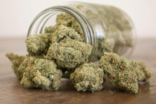 Buy Exotic Top Shelf THCA Flower Cannabis Online | GanjaDeals
