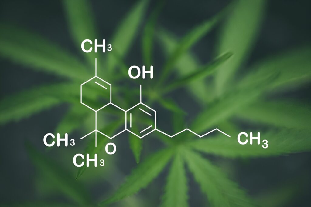 exploring differences between thca and thc 1