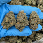 Jet Fuel