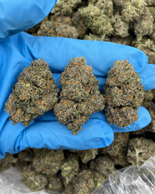 Jet Fuel