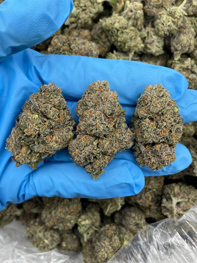 Jet Fuel
