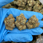 Cookie Glue