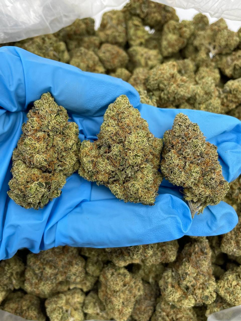Lemon Haze Premium Flower