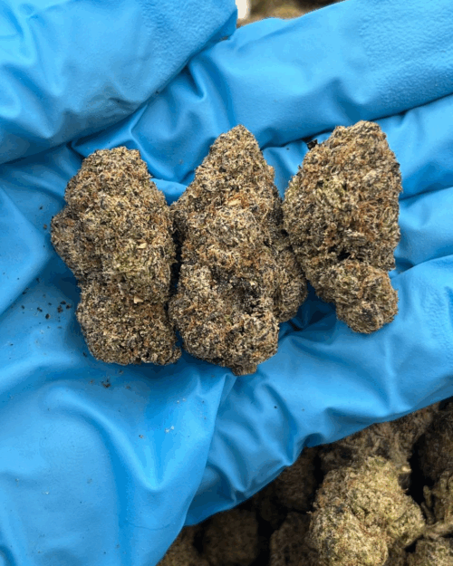 Blueberry Pop Rocks