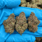 Ultra Violet