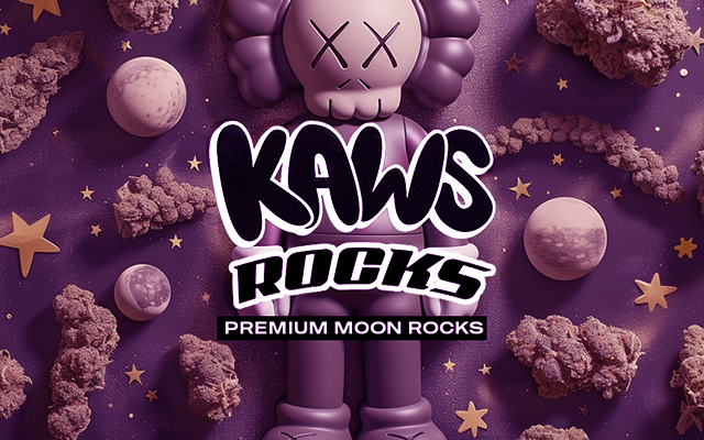kaws moonrocks