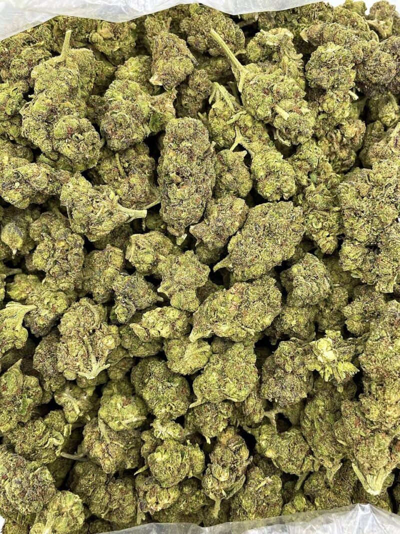 lemon looper