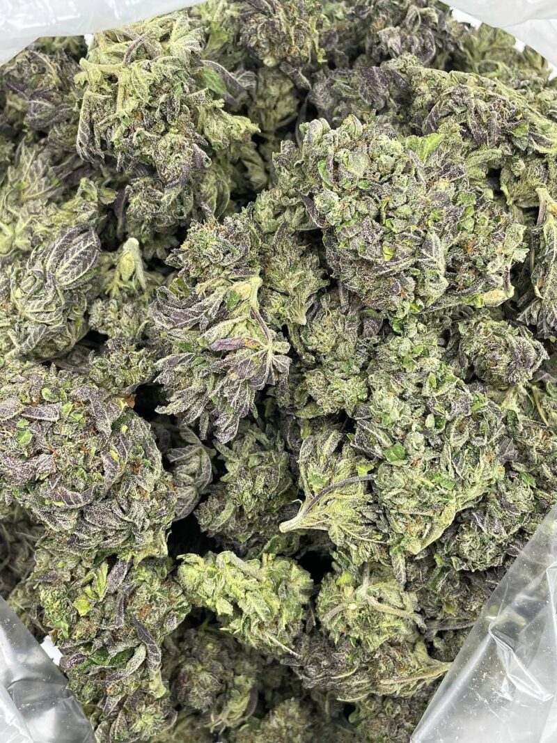 purple push pop 2