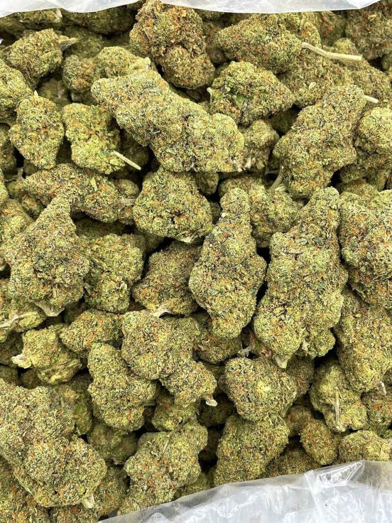 tangerine dream 2